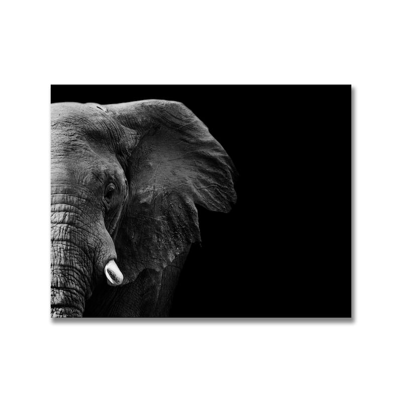 "Elephant" Framed Print Wall Art by WildPhotoArt