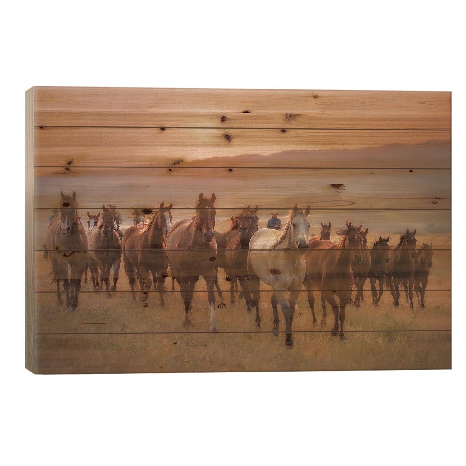 Sunkissed Horses II Print On Wood by PHBurchett - Multi-Color