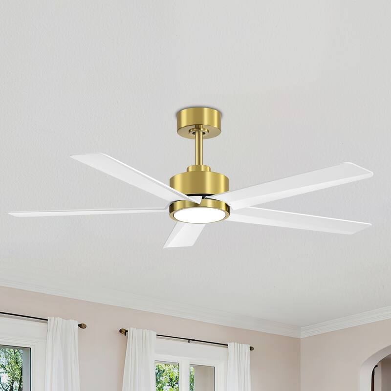Breezary 65"/52"/42" 5-Blade LED Ceiling Fan with Light Kit and Remote