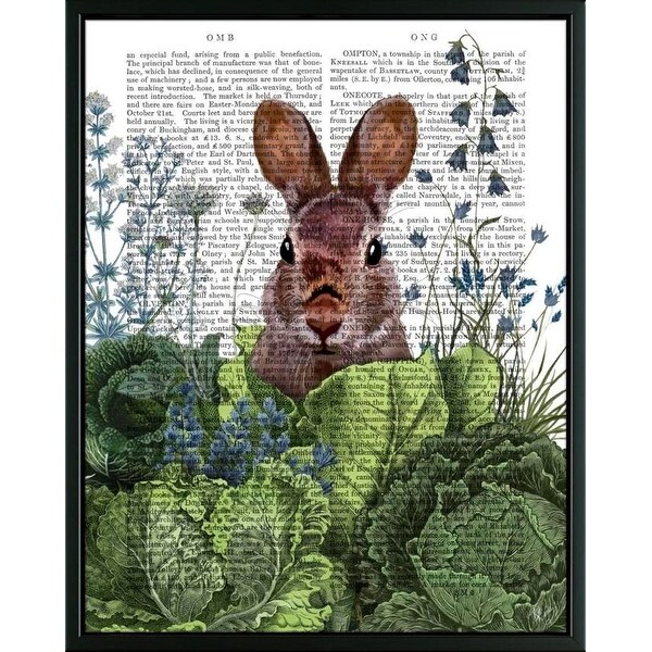 cabbage patch rabbit