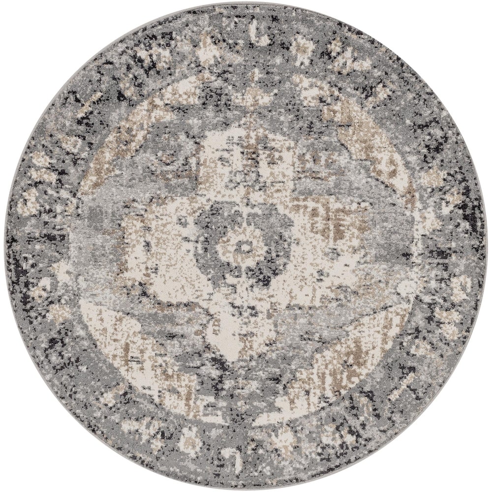 Livabliss Chelsea Updated Traditional Medallion Area Rug