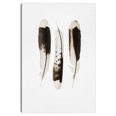 Three Feathers by Nancy Crowell Canvas Art Print