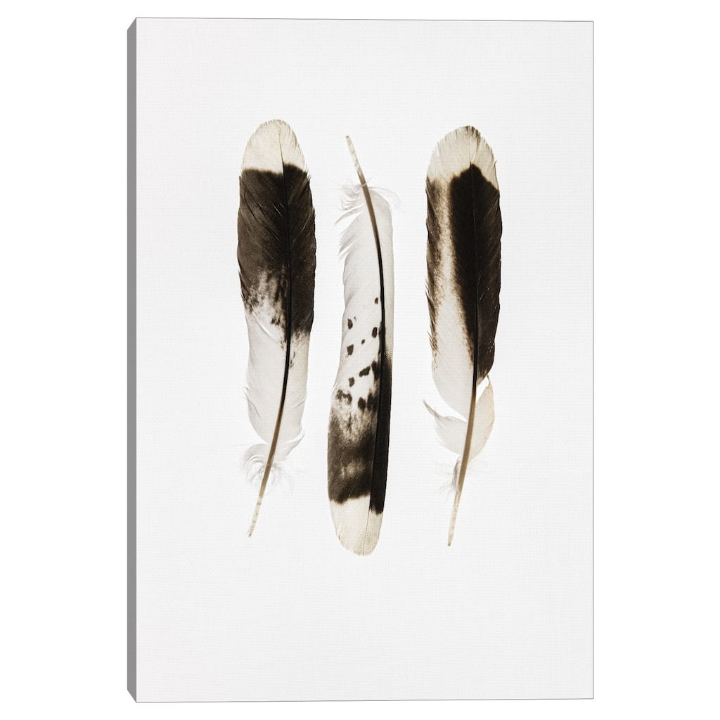 Three Feathers by Nancy Crowell Canvas Art Print