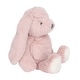 preview thumbnail 3 of 3, Lambs & Ivy Botanical Baby Plush Pink Bunny Stuffed Animal Toy - Hip Hop