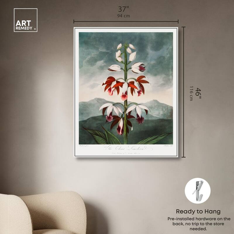 The China Limodoron 1807 Canvas by Art Remedy