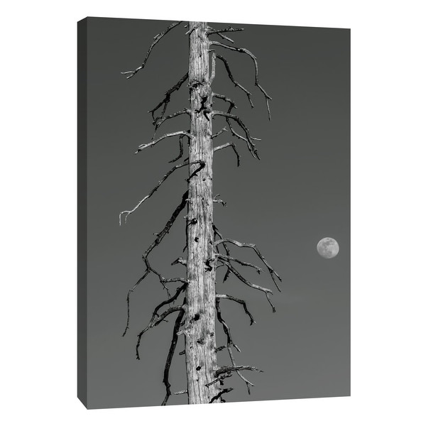 PTM Images 9-105188 PTM Canvas Collection 10" x 8" - "Silver Snag" Giclee Art Print on Canvas