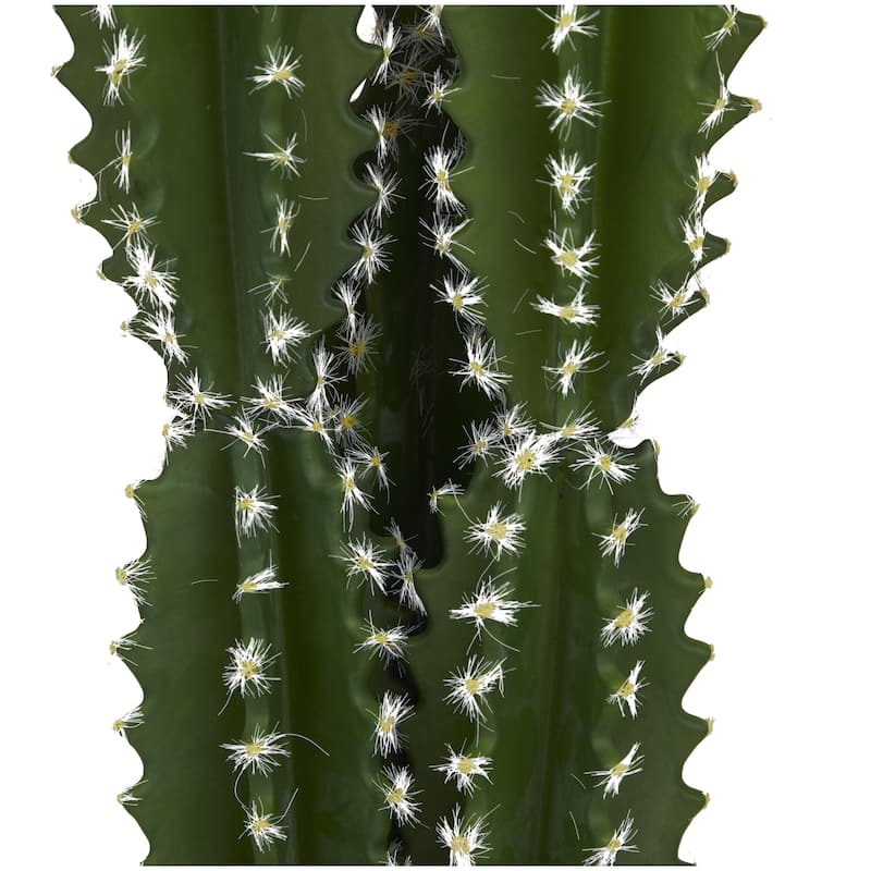 Faux Foliage Cactus Artificial Plant with Realistic Leaves and Black Round Pot - Green - Roche River Decor
