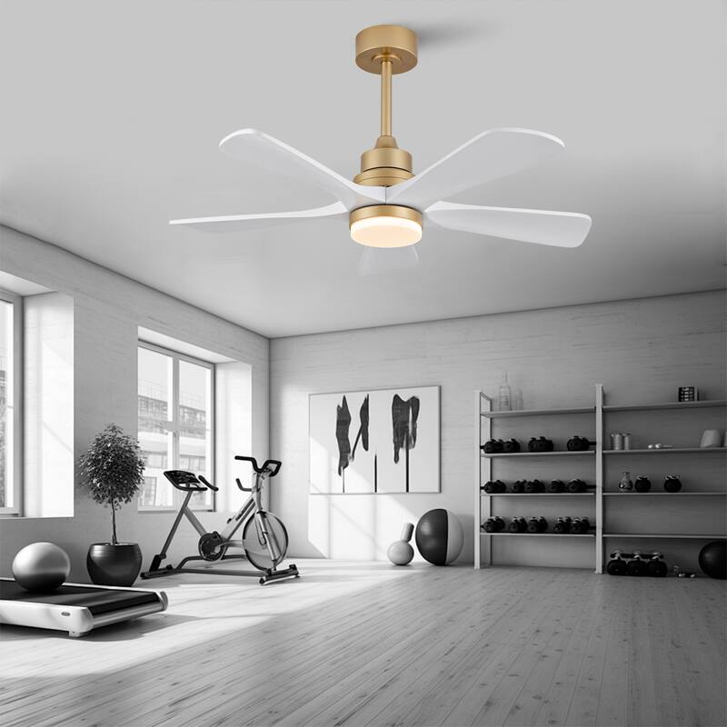 42 Inch Indoor Ceiling Fan With Dimmable LED Light 5 Solid Wood Blades Remote Control Reversible DC Motor