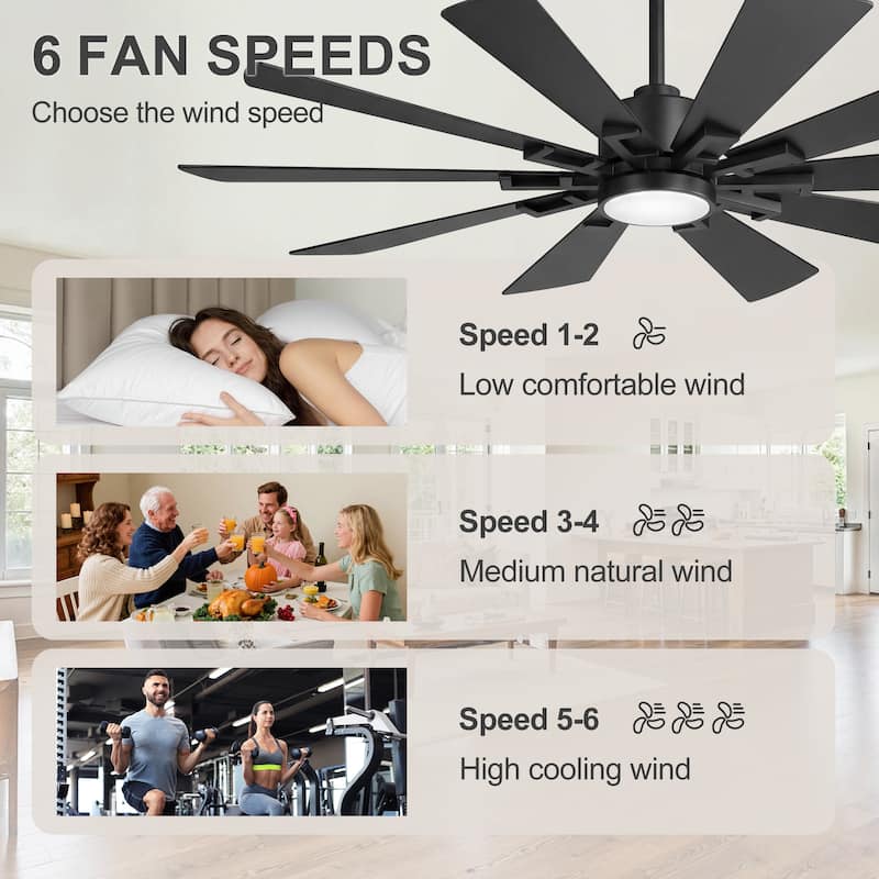 62/72-Inch Reversible 10-Blade Large Ceiling Fan with Light and Remote