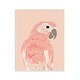 preview thumbnail 1 of 5, Stupell Pink Neutral Parrot Wall Plaque Art Design By Chen Alyesh 11 x 14