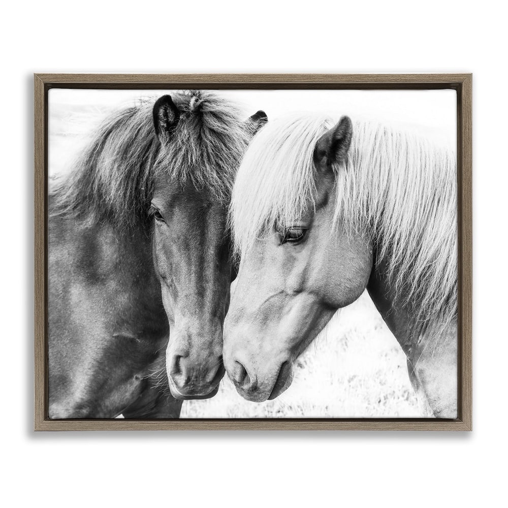 Stupell Horse Love Duo Portrait Framed Floater Canvas Wall Art Design by Sisi and Seb