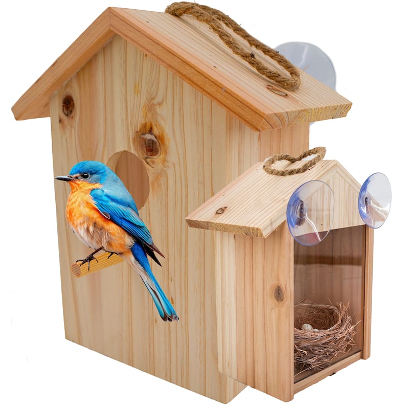 See Through Wooden Window Bird house w/ Large Suction Cups, Hanging Lanyard Rope Birdhouse - regular - Brown