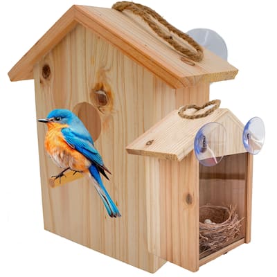 See Through Wooden Window Bird house w/ Large Suction Cups, Hanging Lanyard Rope Birdhouse - regular