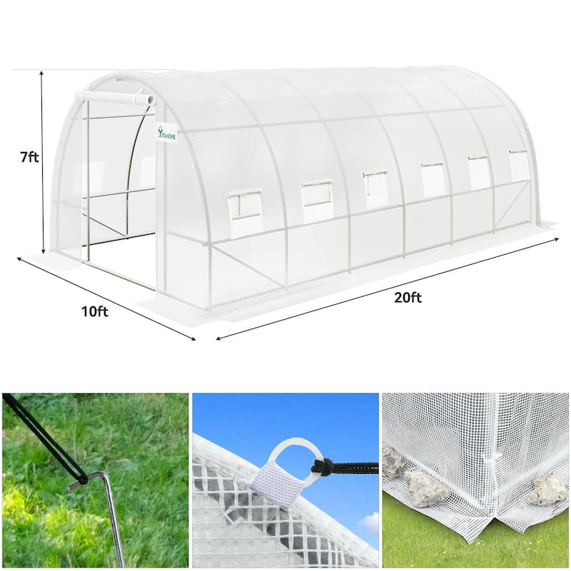 Moasis Walk-in Greenhouse with Reinforced Steel Frame