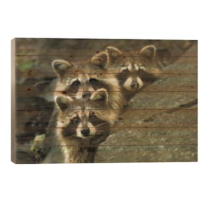 Tres Banditos Print On Wood by Mircea Costina - Multi-Color