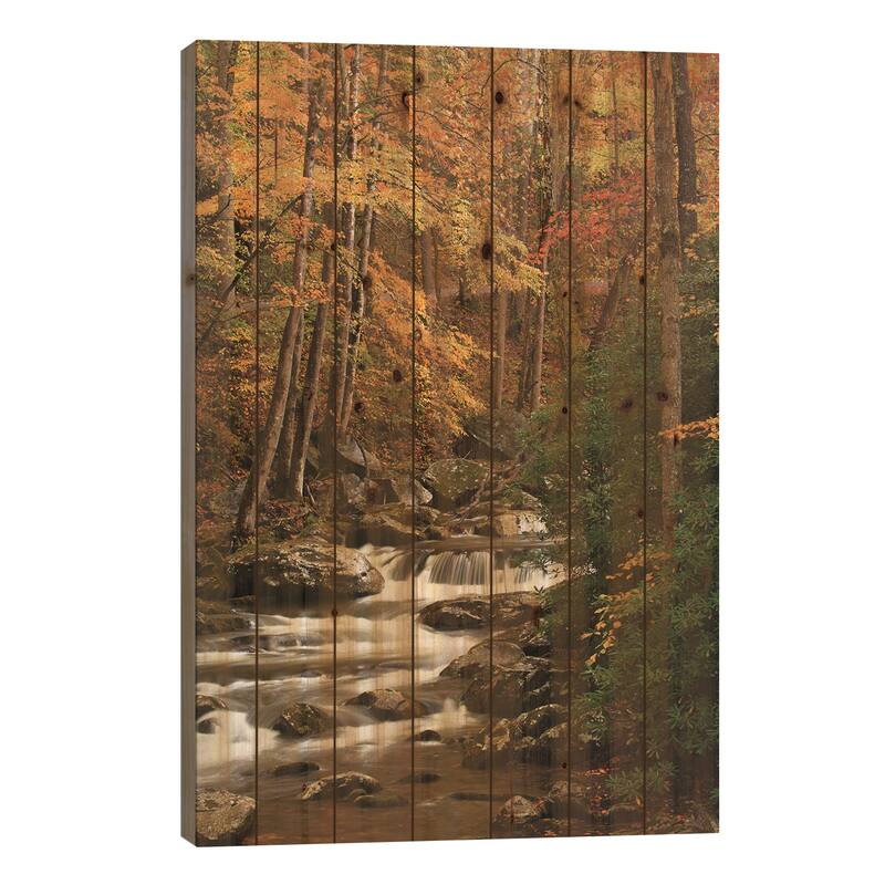 USA, Tennesse. Fall foliage along a stream in the Smoky Mountains. Print On Wood by Joanne Wells - Multi-Color - 26x18x1.5