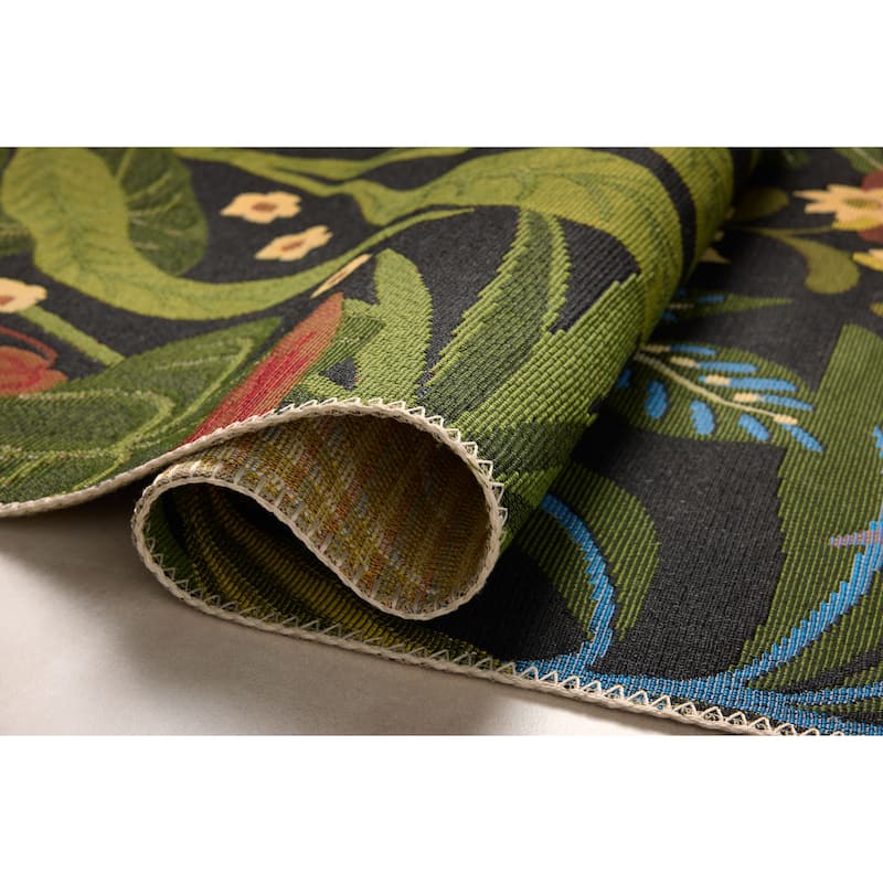 Alexander Home Babiana Indoor/Outdoor Area Rug