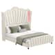 Option Beige