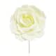 Option Cream White