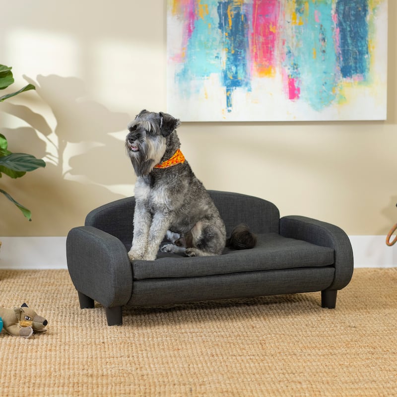 Paws & Purrs Modern Pet Sofa Bed Low-Back Lounger for Dogs & Cats – Removable Washable Mattress Cover