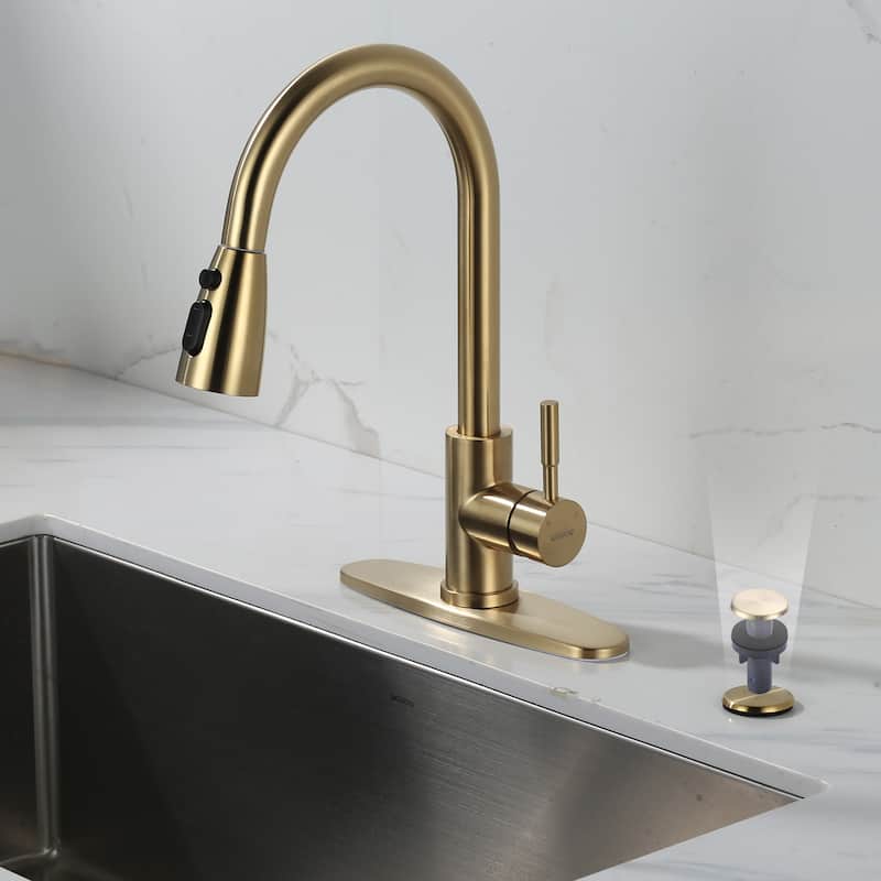 WOWOW 1-3/4 in.Kitchen Sink Hole Cover in Modern