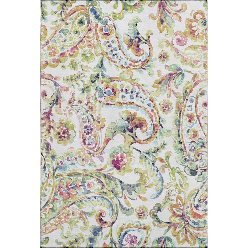 Premium Washable Super Soft Paisley Mayfield Rug