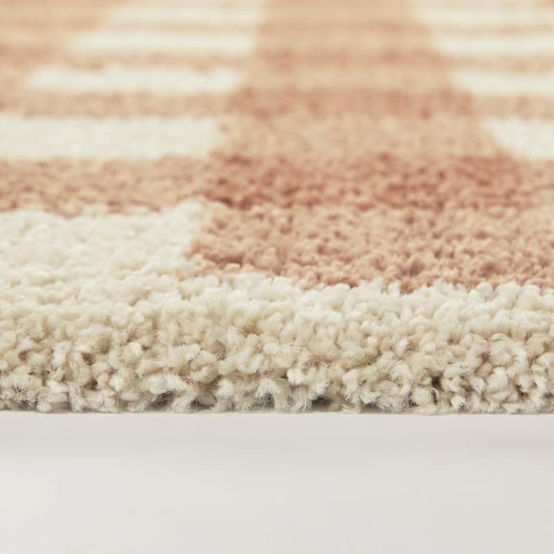 March Gingham Shag Area Rug