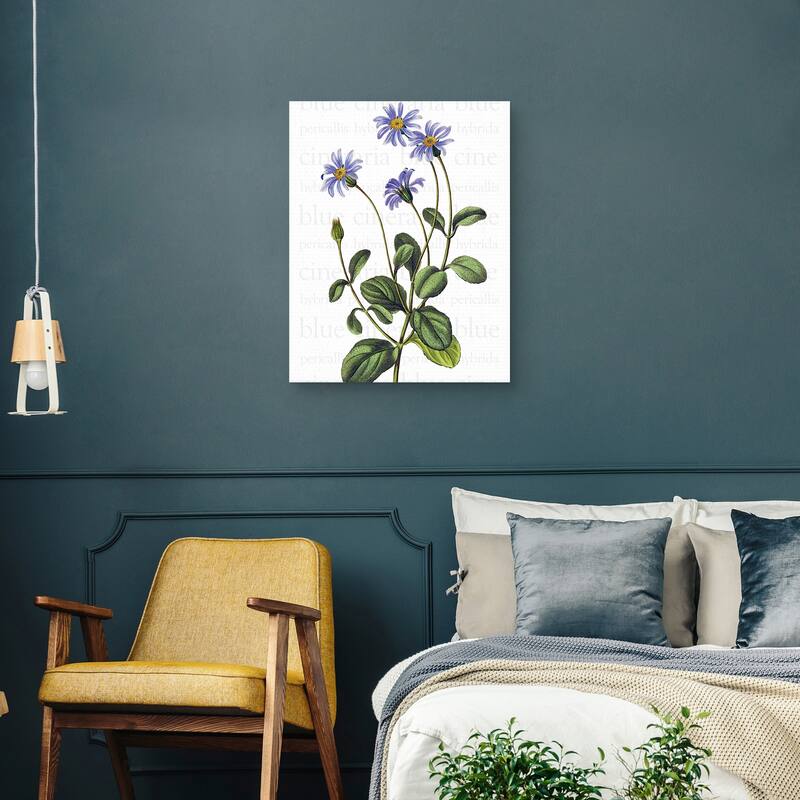 Blue Cineraria Text by Design Lab Canvas Art Print