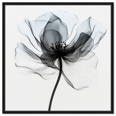 Midania II Canvas by Art Remedy