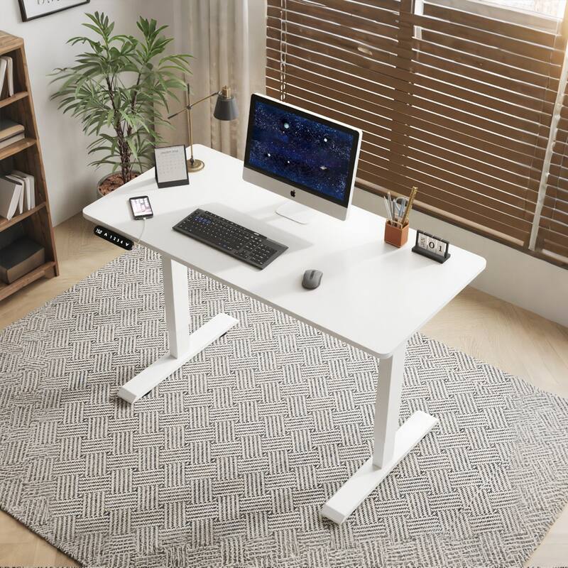 Anmytek 55 Inch White Double Beam Electric Height Adjustable Standing Desk for Home Office