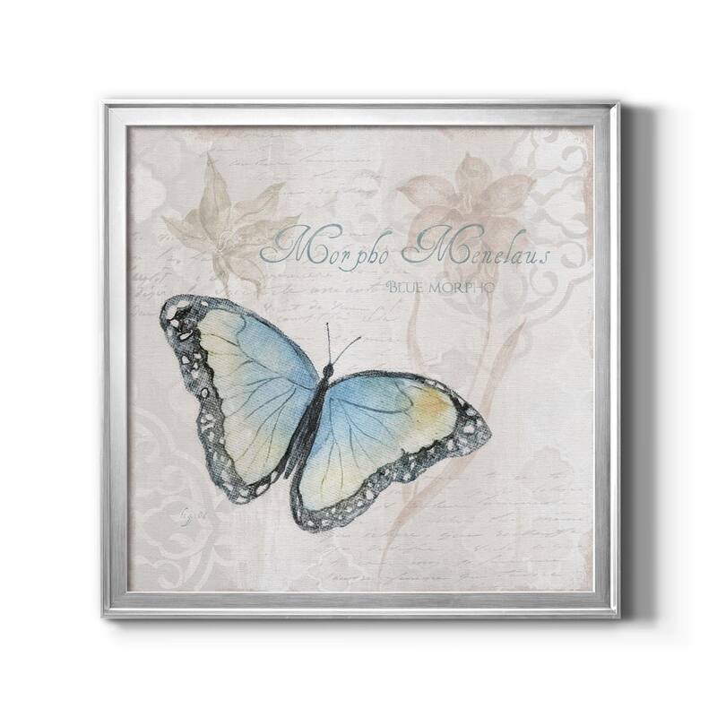 Postcard Butterfly III-Premium Framed Canvas - Ready to Hang - 22.5x22.5 - Silver