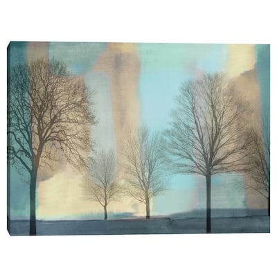 Misty Morning I by Chris Donovan Canvas Art Print
