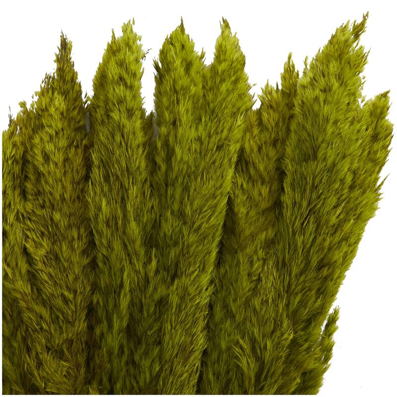 Dried Plant Pampas Grass Home Decor Natural Foliage with Long Stems - Brown or Green - Roche River Decor