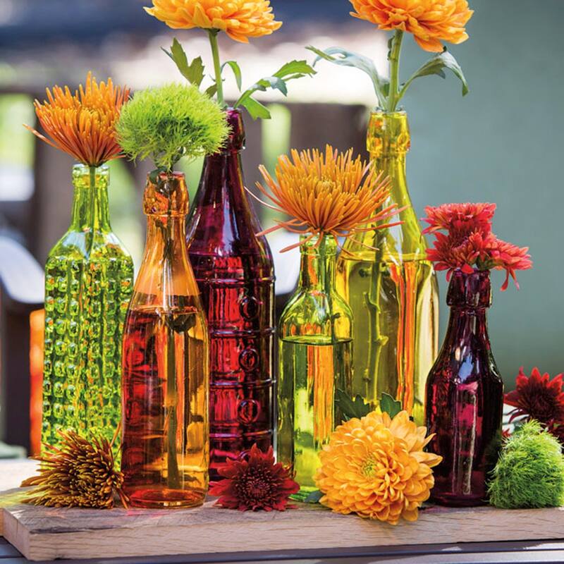 Decorate Your Garden Glass Bottles (Set of 6)