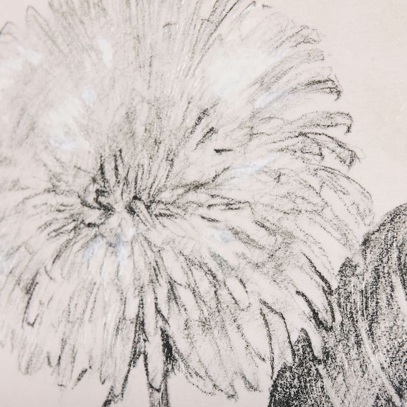 Dandelion Drawing II (40 x 60) Canvas Art Print