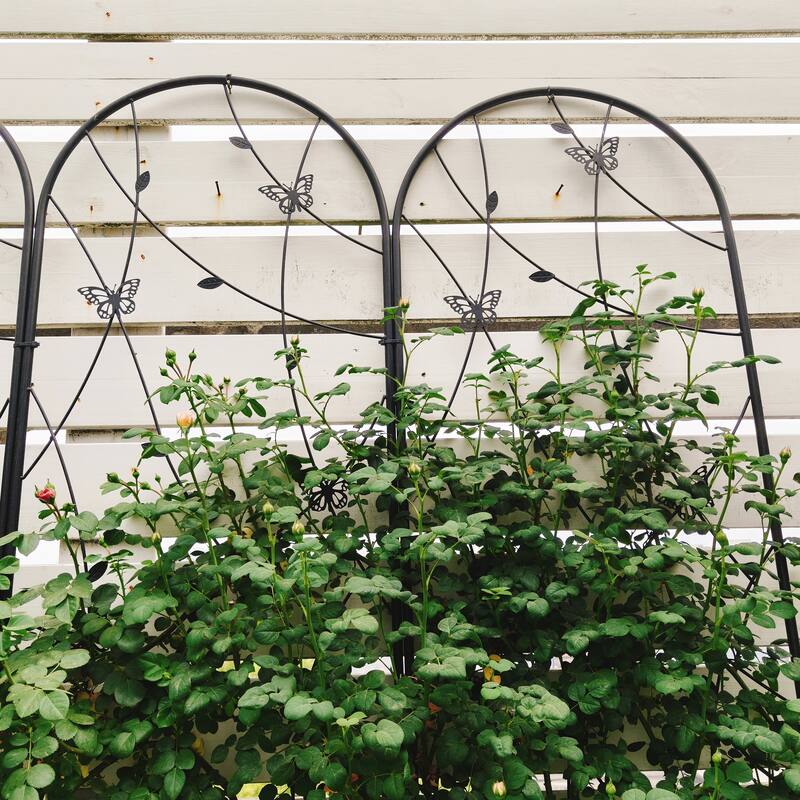 4 Pack Metal Garden Trellis
