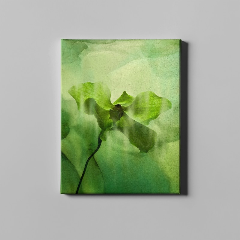 Green Abstract Flower Canvas Wall Art Bed Bath & Beyond 37094578