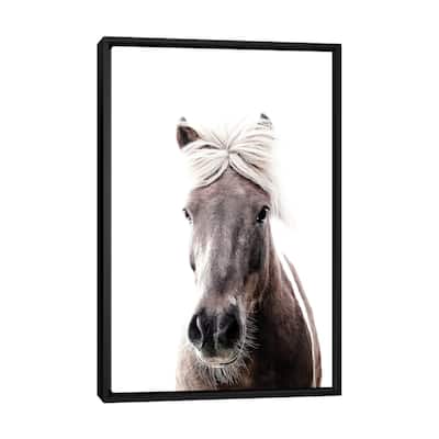 iCanvas "Iceland Horse Lucy I" by Monika Strigel Framed