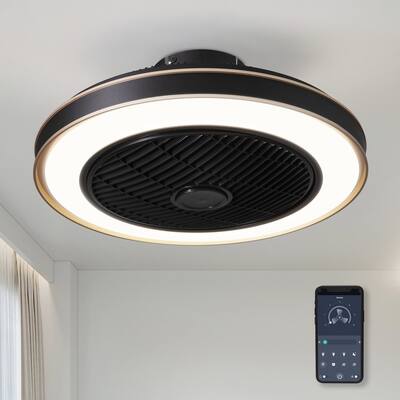 20 in. Balck Flush Mount Low Profile LED Ceiling Fan - Black Gold
