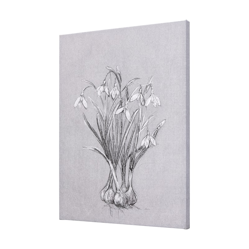 Botanical Sketches VI (Grey) (36 x 60) Canvas Art Print