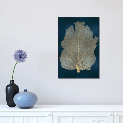 iCanvas "Sea Fan Gold on Teal I" by Melonie Miller Canvas Print