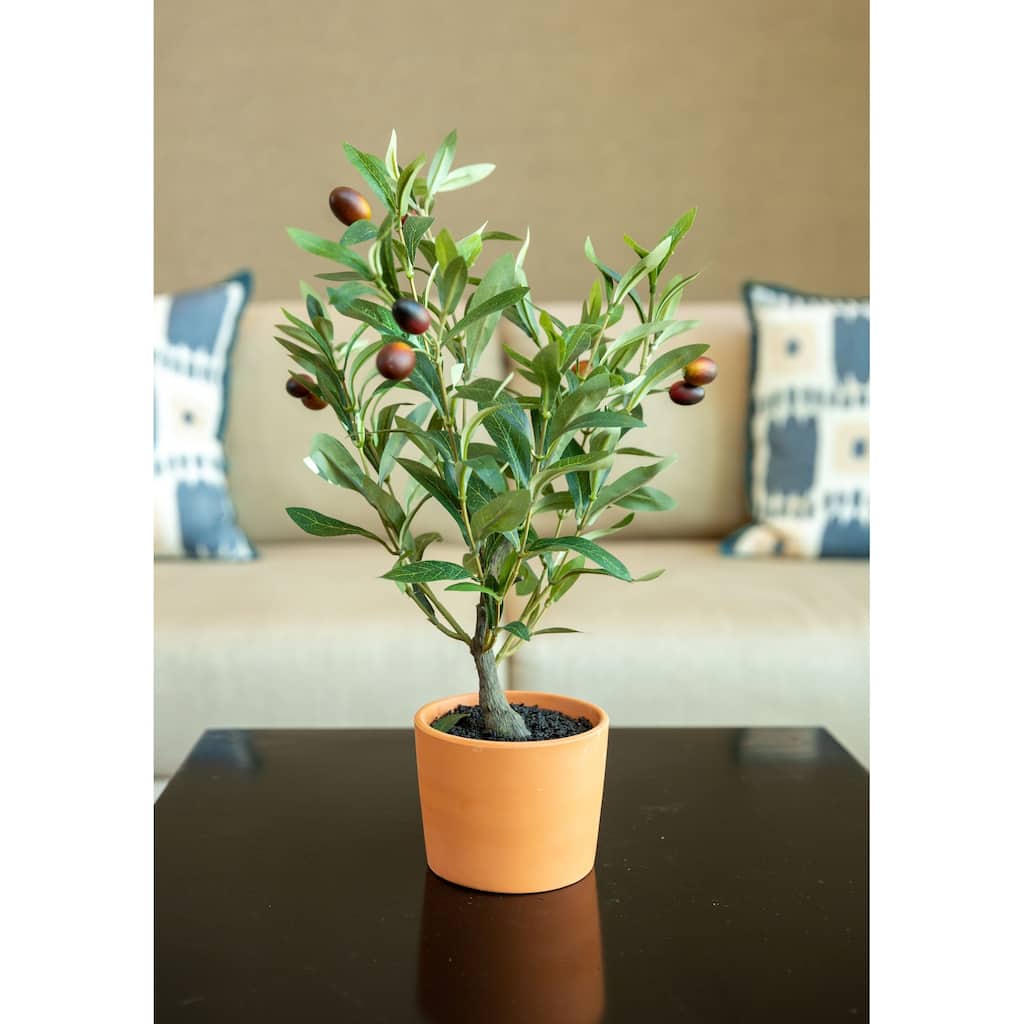 18" Olive Tree in 4.5" Clay Pot,Orange Terracotta - ONE-SIZE