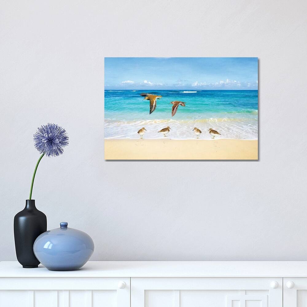 iCanvas "Sandpiper Ocean Beach Party" by Laura D Young Canvas Print