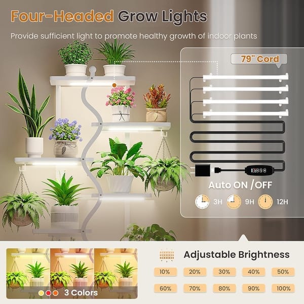 small pots indoor plants Costa Farms Live Plants (3 Pack), Easy to Grow Real Indoor Houseplants, Air  Purifying Plants, Grower's Choice in Home Dcor Indoors Plant Pots, New  House Gift or Room Dcor