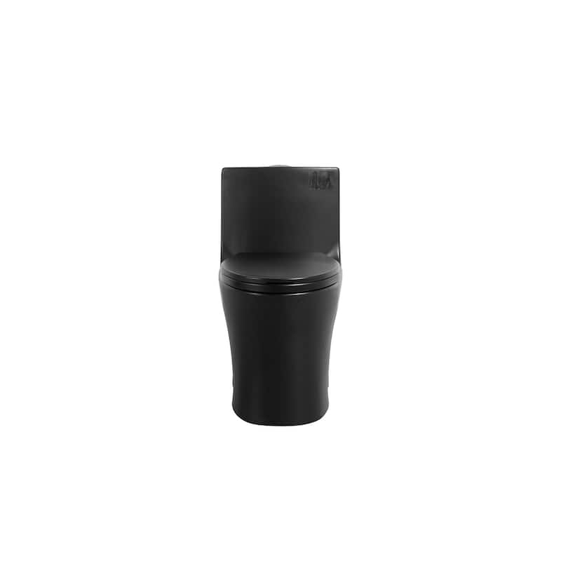 Matte Black One-Piece Toilet