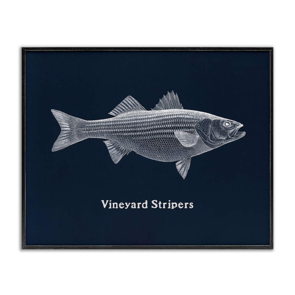 Stupell Vineyard Stripers Fish Framed Giclee Art Design By Phillipa Katz
