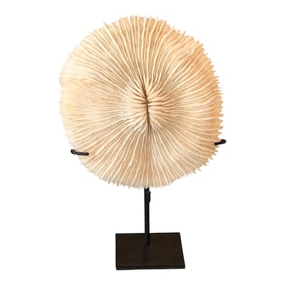 Artissance 10"H Sulawe White Coral with Stand (size & shape vary)