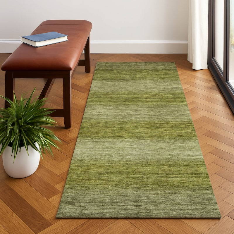 Premium Washable Super Soft Casual Ombre Mayfield Rug - Aloe - 2'3" x 7'6"
