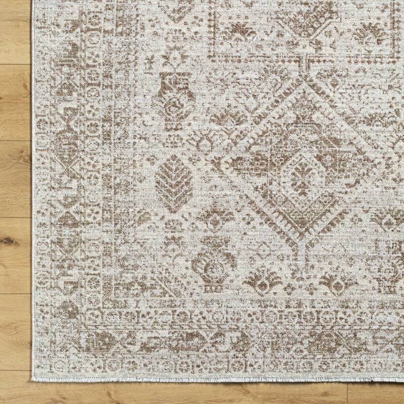 Souza Traditional Medallion Area Rug