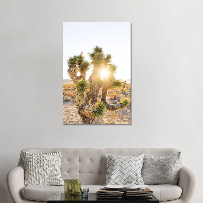iCanvas "Nevada Desert Sunrise II" by Bethany Young Canvas Print - 48x32x1.5